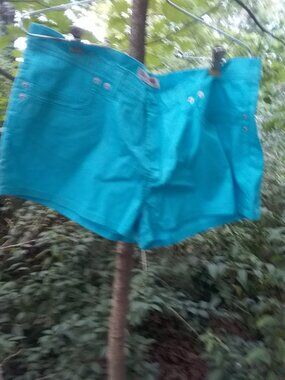 Guess Jeans womens shorts